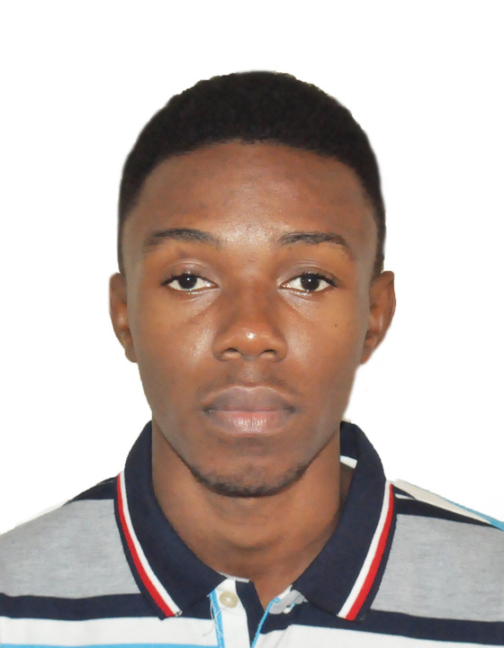 Midekor David